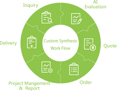 Custom synthesis1